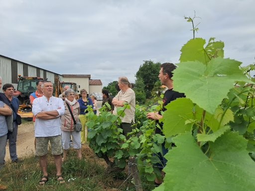 Lire la suite à propos de l’article Retour sur la journée au vignoble